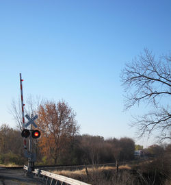 Bare trees on field against clear blue sky