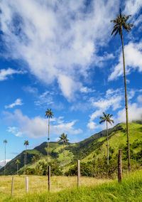 Scenic view of land against sky