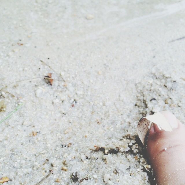 beach, sand, person, part of, lifestyles, high angle view, personal perspective, leisure activity, shore, close-up, unrecognizable person, cropped, holding, low section, barefoot, human finger