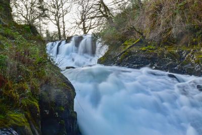 Scenic view of waterfall in forest