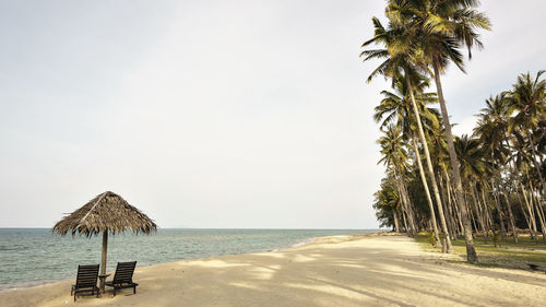 Thatched roof and palm trees at beach