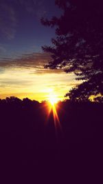 Silhouette of trees at sunset