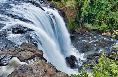 Scenic view of waterfall in forest