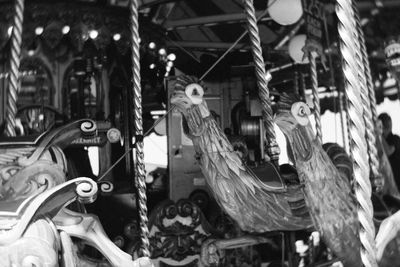 Close-up of birds in amusement park