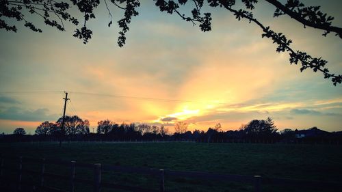 Silhouette trees on field against sky at sunset