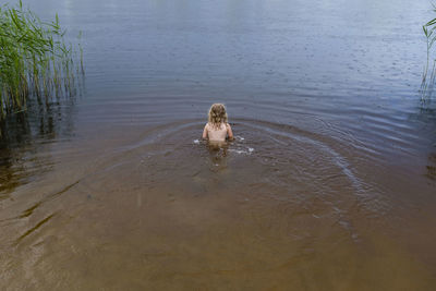 High angle view of dog swimming in lake