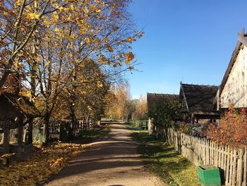 Footpath amidst trees and buildings against sky