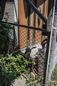Close-up of metal fence