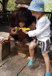 Smiling boy showing toy to monkey