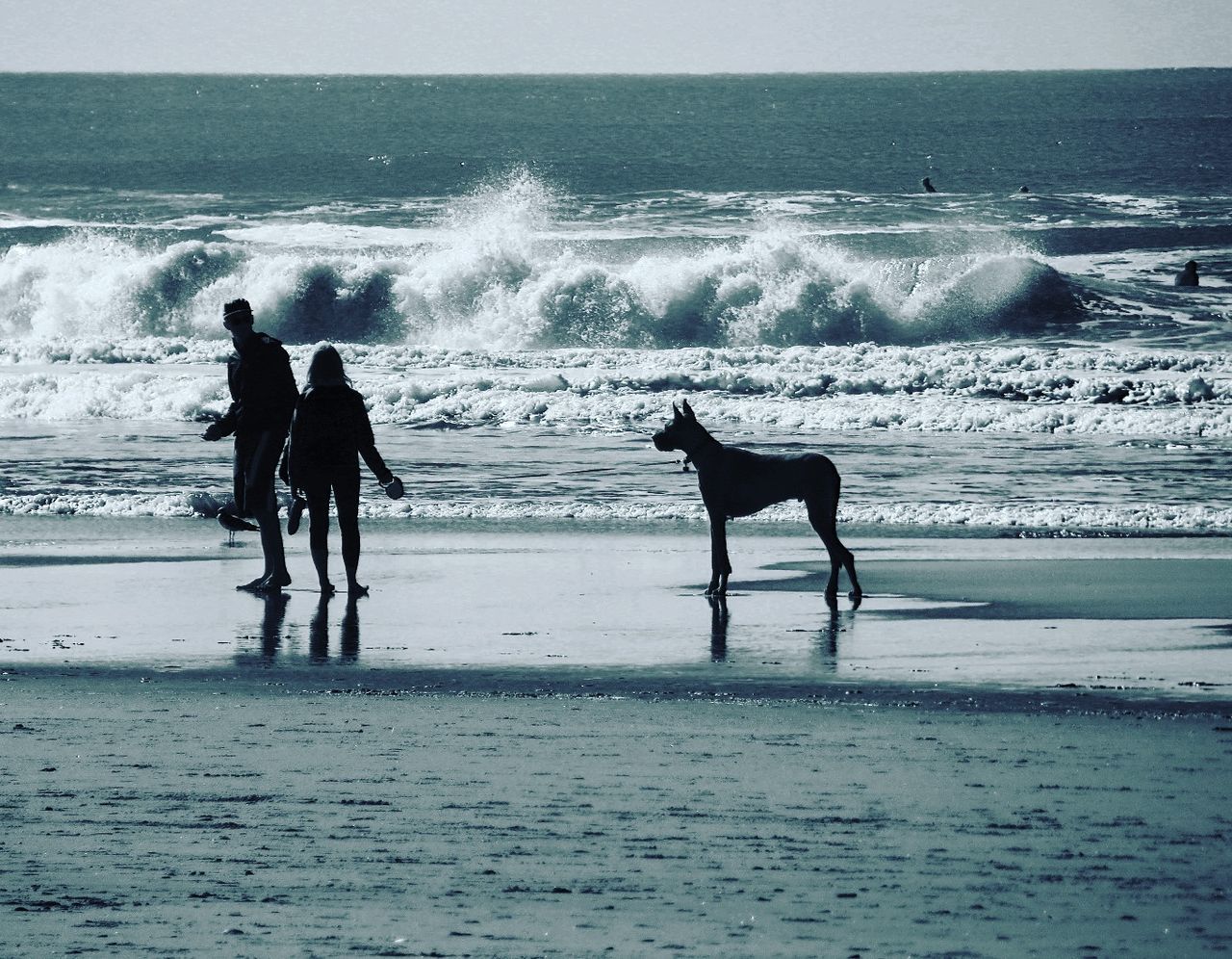 PEOPLE WITH DOG AT BEACH