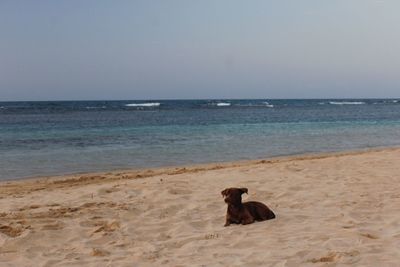 Scenic view of beach against sky