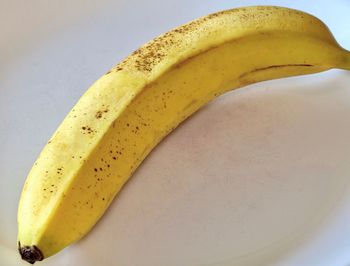 Close-up of fruit against white background