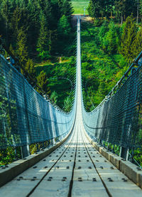 Footbridge amidst trees in forest