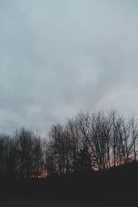 Bare trees on landscape against cloudy sky