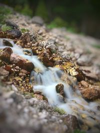 Close-up of water flowing through rocks in forest