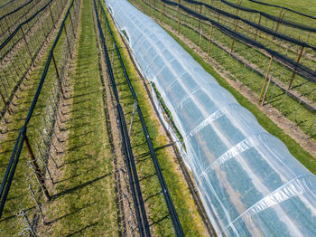 High angle view of agricultural field