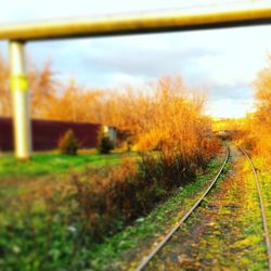 Railroad track amidst trees against sky