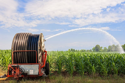 Agricultural field against sky