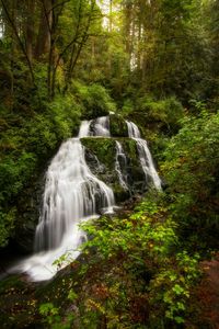 Scenic view of waterfall in forest