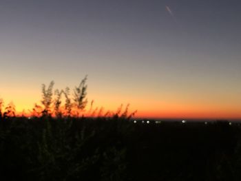 Silhouette plants on field against sky during sunset