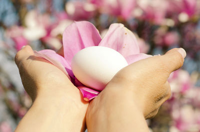 Close-up of hand holding pink flower and egg