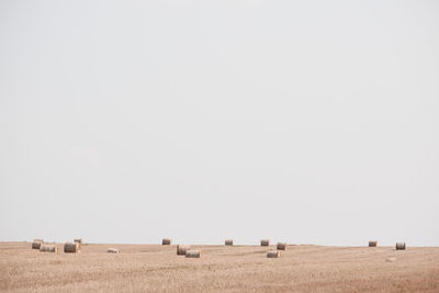 Hay bales on field against clear sky