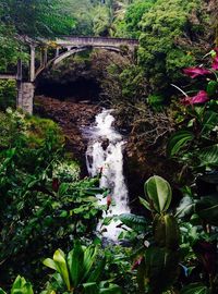 Bridge over river