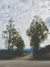 Trees growing on footpath by sea against cloudy sky