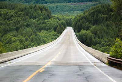 Road passing through forest