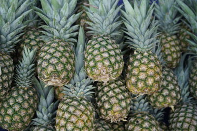 Full frame shot of fruits at market