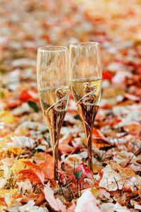 Close-up of champagne flutes on field during autumn