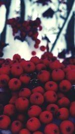 Full frame shot of berries