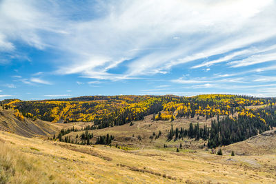 Scenic view of landscape against sky