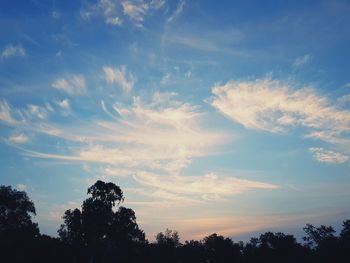 Low angle view of silhouette trees against sky