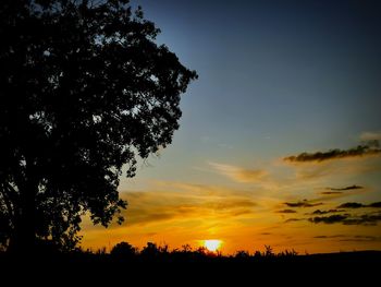 Silhouette trees on field against sky at sunset