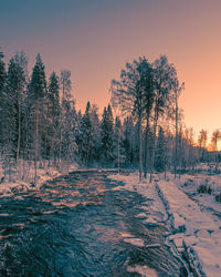 Trees on snow covered land against sky during sunset