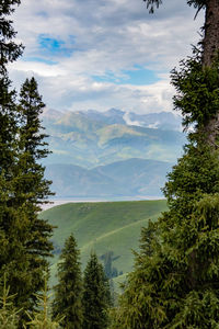 High angle view through trees of mountains and cloudy sky