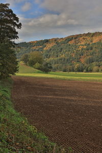 Scenic view of field against sky