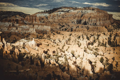 Bryce canyon environment at sunset