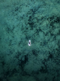 High angle view of person in sea