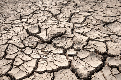 Close-up of cracked land
