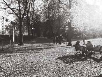 People walking on footpath