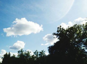 Low angle view of trees against blue sky