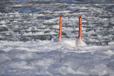 Close-up of snow on sea shore