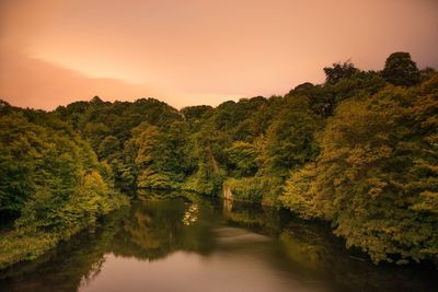 Scenic view of river amidst trees against clear sky