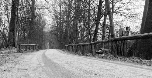 Road amidst bare trees in forest