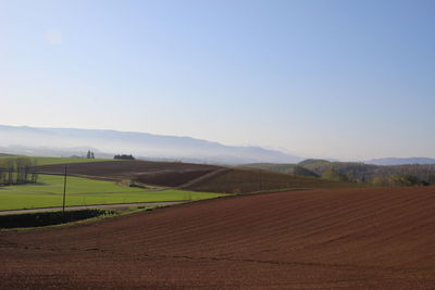 Scenic view of field against clear sky