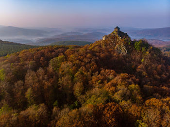 High angle view of trees on mountain