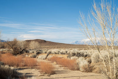 Scenic view of arid landscape against sky