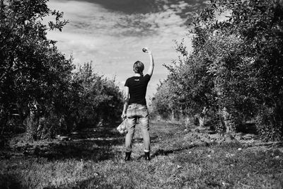 Rear view of woman holding apples while standing at orchard